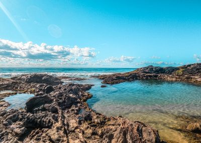 clari sigle photographer